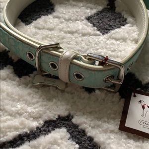 Combo Coach baby blue dog collar and leash